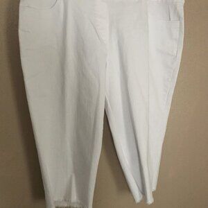 ALFRED DUNNER Pants Size: 22 Wide  #8095